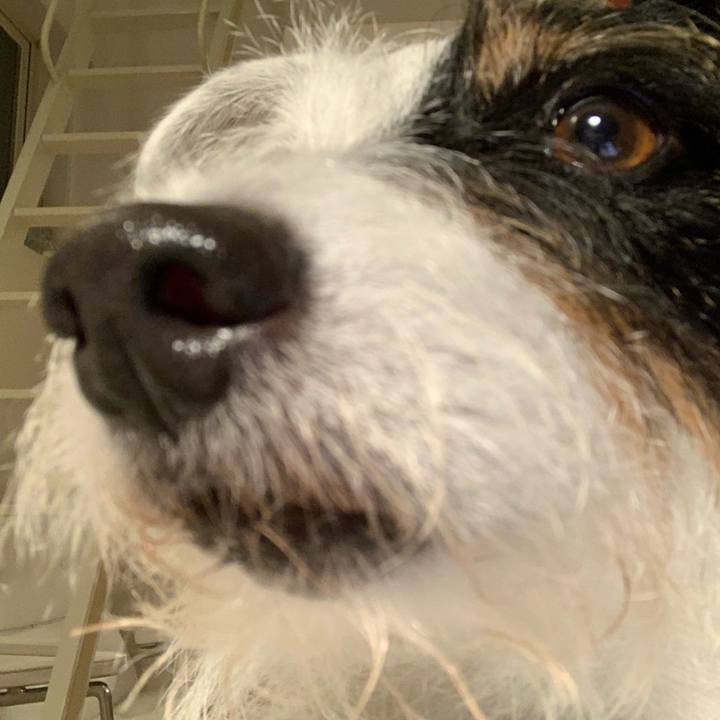 38dde070 89ec 4889 8f06 f7a7928d24c9 1629714536731