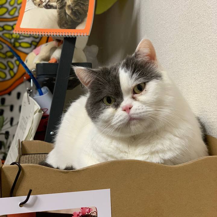 38dded6a fd3a 4358 aeb3 e97fc11d16bb 1610680747924