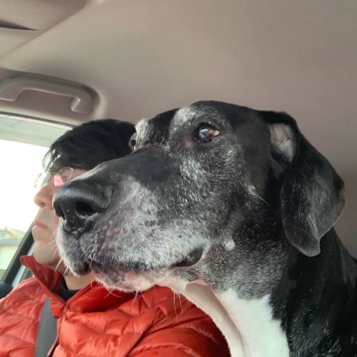 38ddf0f0 d8ef 4cc7 9b27 49e12d0bf828 1578725669254