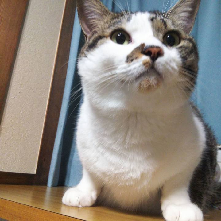 38de1aa2 a189 4614 b464 d574f5e5ffc4 1663679959154