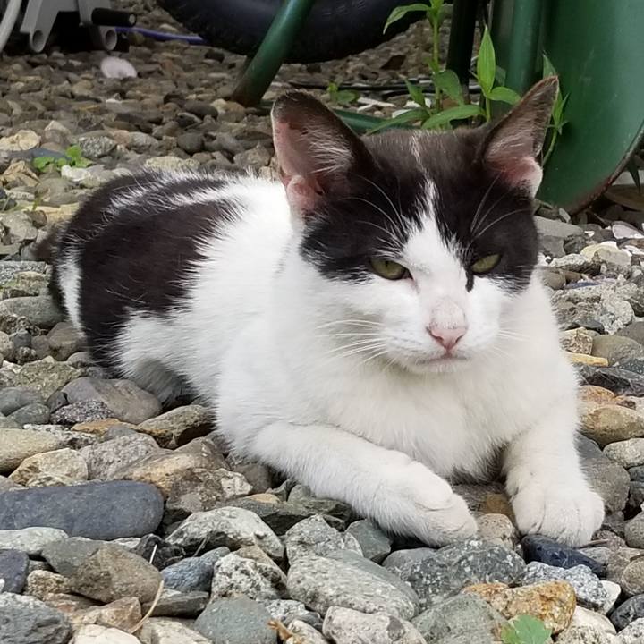 38dea3c7 d251 4e43 820a abffc946d959 1561984627539