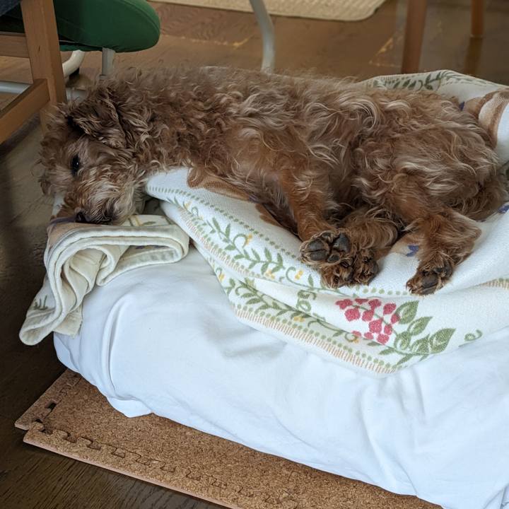 38dea8d2 fdb0 42b2 9aa0 dab45801a347 1713062061994