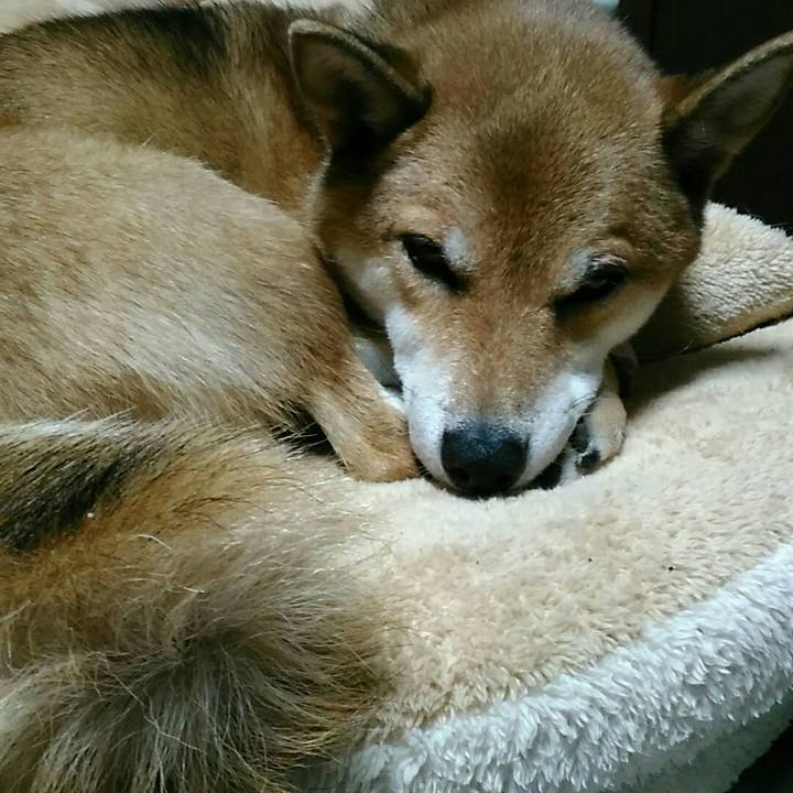 38dec995 3f01 4919 95c2 77b8b8dae57f 1536662657488