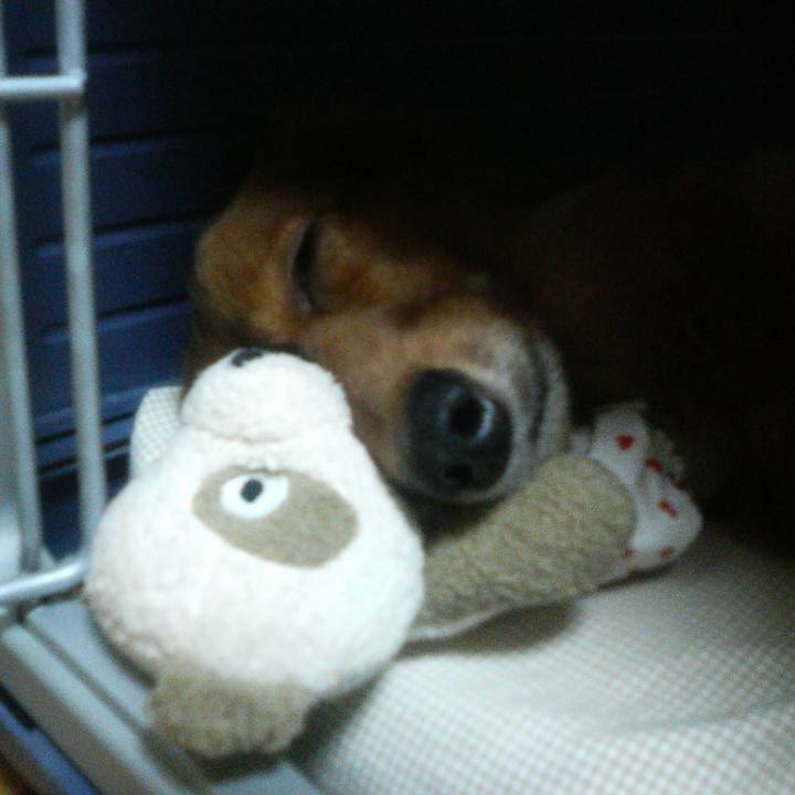 38def0a1 910a 4b38 845b f90727f1a68a 1528740924558