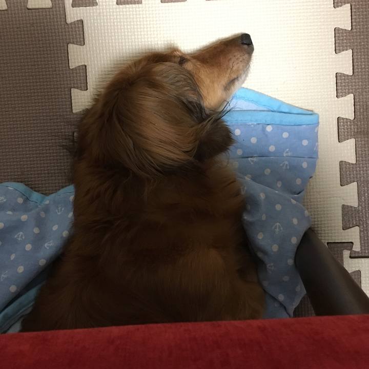 38df3940 f960 44ce 9717 f3d43b720202 1564755148761