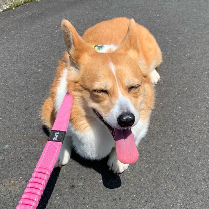 38df73aa 5e12 44c9 8e4d 53347b11cf9d 1650593846005