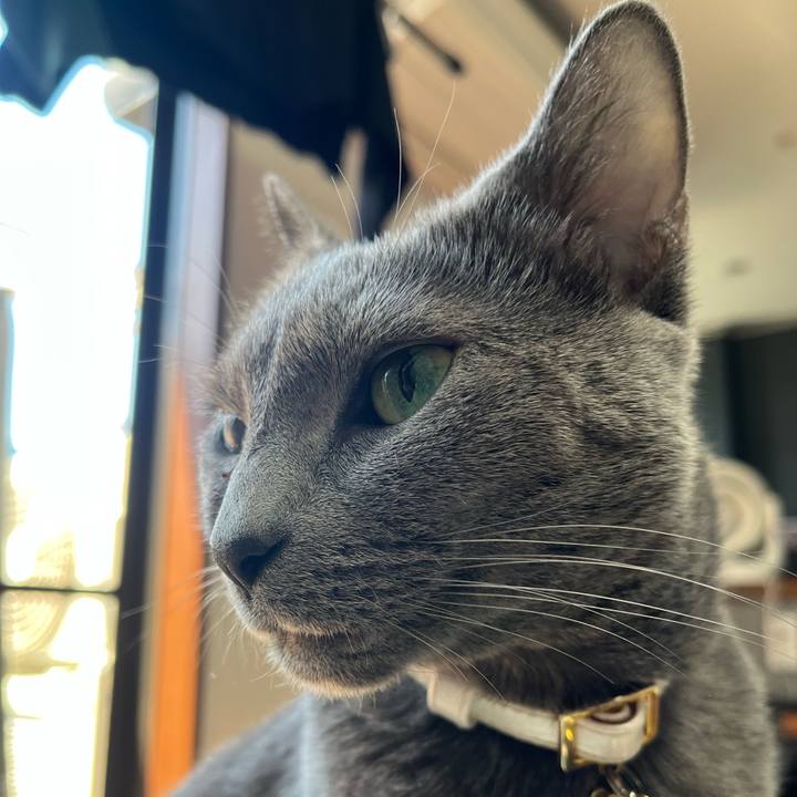 38df7415 e0bf 477a a03a b54522bb582a 1685863760196