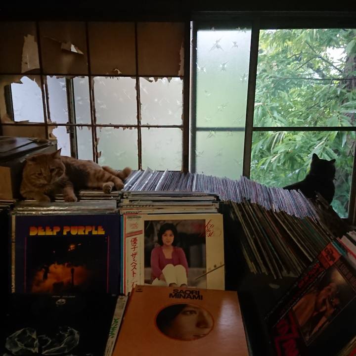 38dfad49 d45e 43b2 b757 1e9c4b2b3293 1656280487098