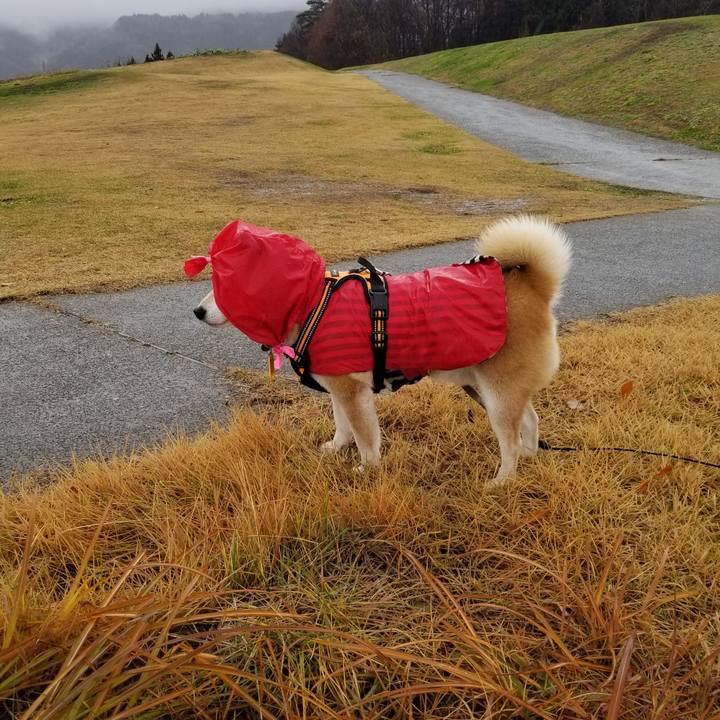 38dfcec8 31be 4514 8b45 b997b0e598e2 1638938787908