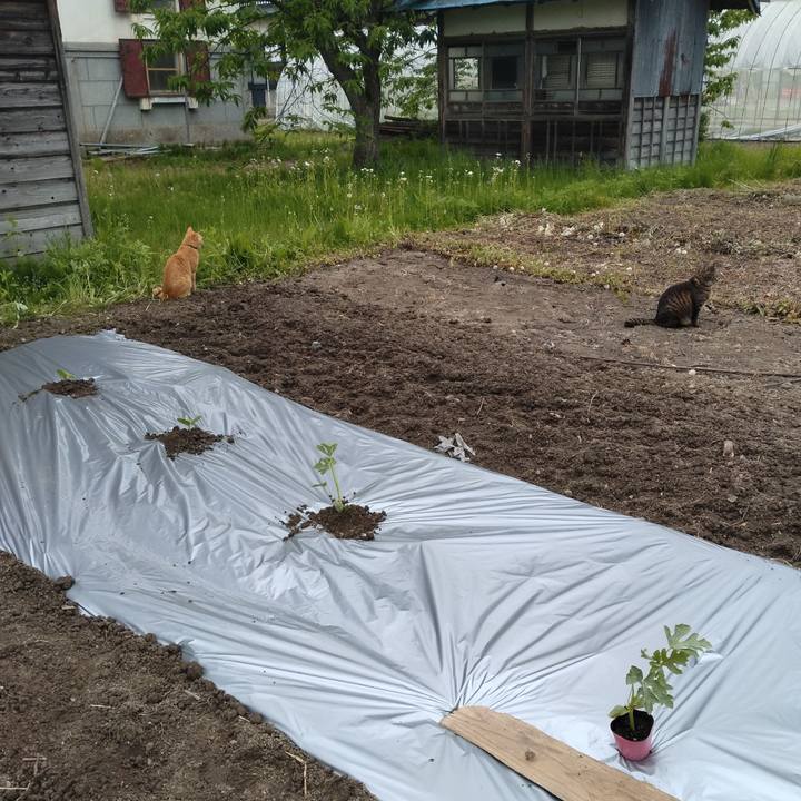 38e02704 a81b 42e0 ab1d a8334b7ef3ac 1684467640376