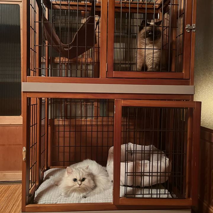 38e04857 c071 4e9b 9e6b 9e4b13f7305e 1636759415904