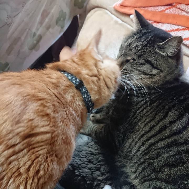 38e0490d e257 44f3 bc01 e1228c474f7b 1641100023409