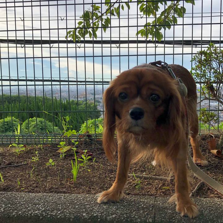 38e071a5 1774 4ef3 83cc f75f4003ae43 1567634846811