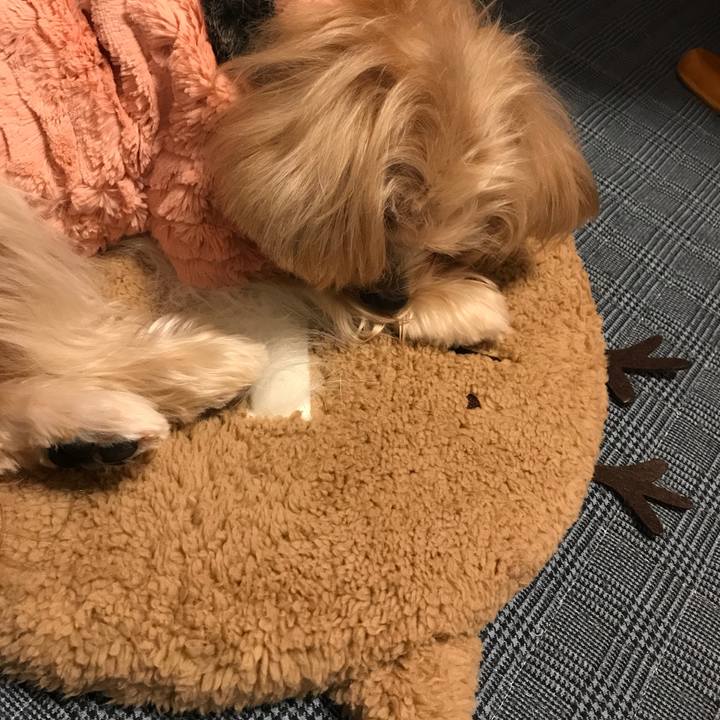 38e07716 b038 4528 a436 866a1d5cfa14 1546147361812