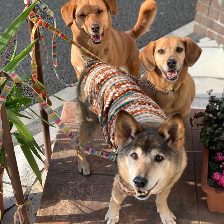 38e07d5b 6d4c 4675 94fb 65e4656905f6 1617981635505