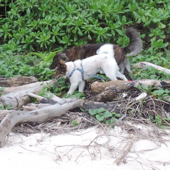 38e07f7a 780e 41a0 af40 9cf15b567849 1510790311860