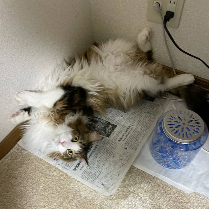 38e092ef bf95 4627 a48d 5f82547a0a41 1678619355849