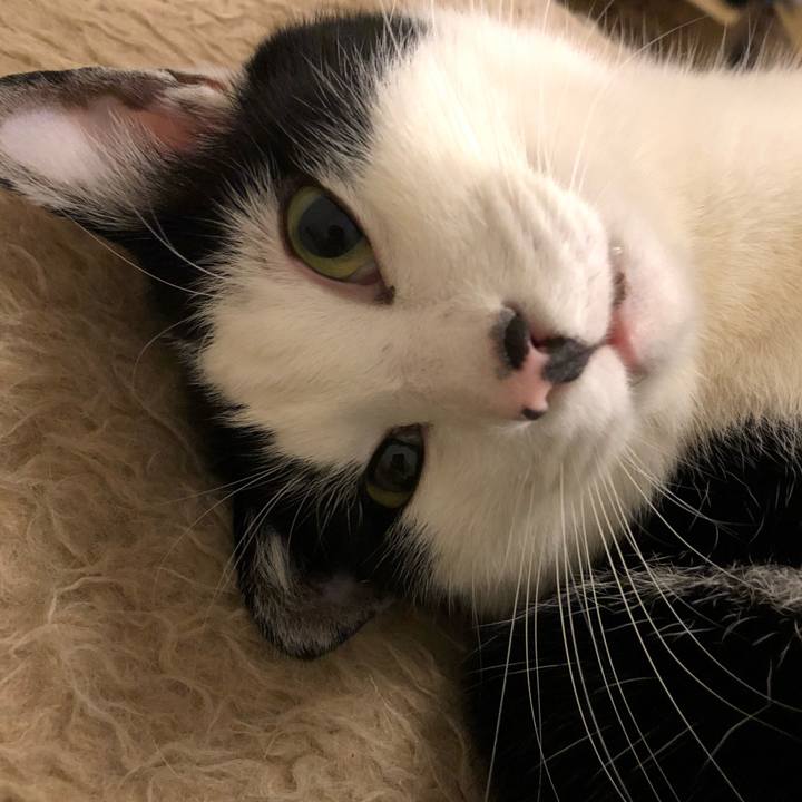 38e0b708 505d 4fdf 8cfe 5b115474835c 1553702549202