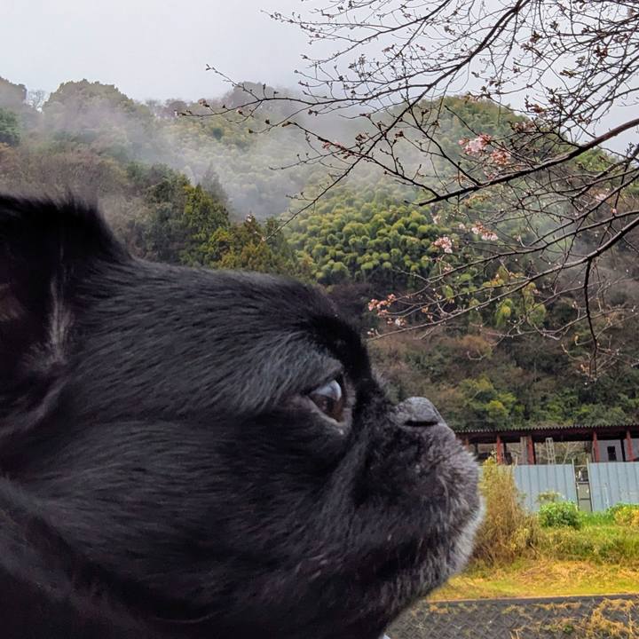 38e14f09 daf8 46ea a407 141ea372bab3 1773917597020