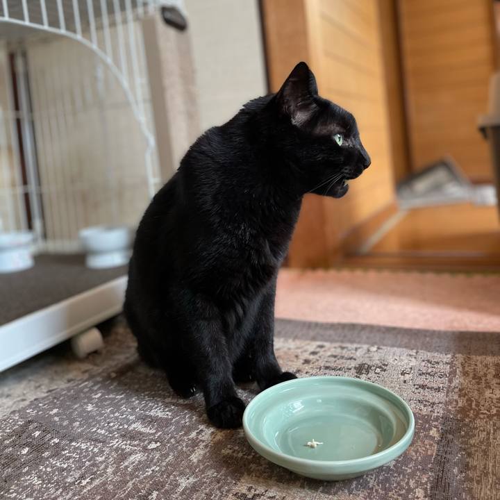 38e180e2 0a34 4ec9 97b7 2b4de8823c3f 1661909825550