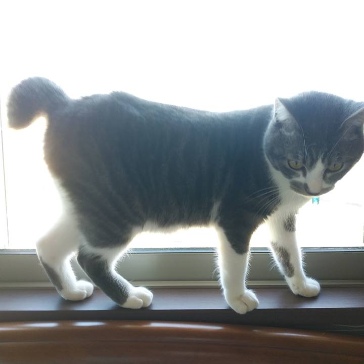 38e18741 d025 4caf a4c2 806d18fb5e8a 1582852742480