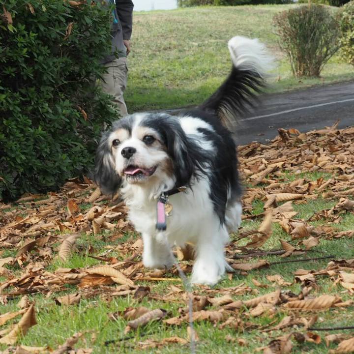 38e1c756 ef1f 4113 935b 368ca466dcde 1542515059295