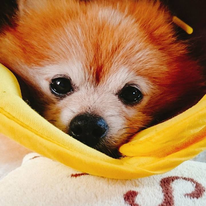 38e1dd6e f7a5 44b0 9008 d7e97067dd92 1561158938950