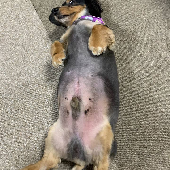 38e1de88 bbcc 4f2f 8119 8a56e475fff6 1583791978774