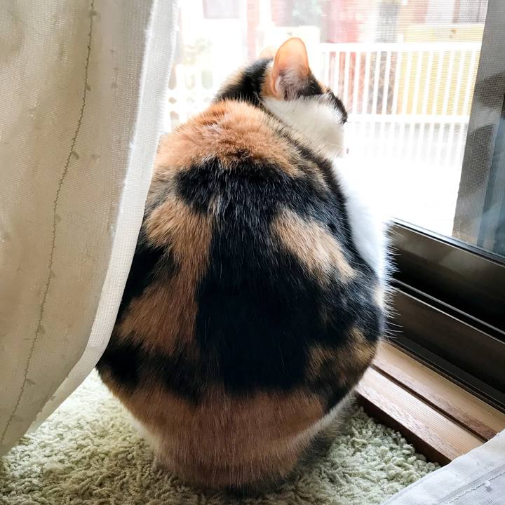 38e2093f fb25 41ff bd8a f4182b142f07 1516767520726