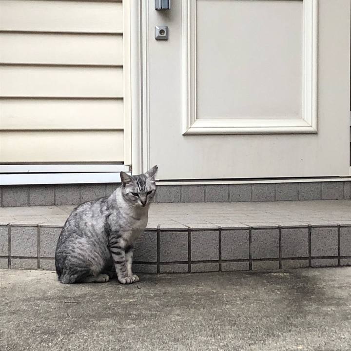 38e274dd 2392 43c1 a308 294e12e46051 1572729299448