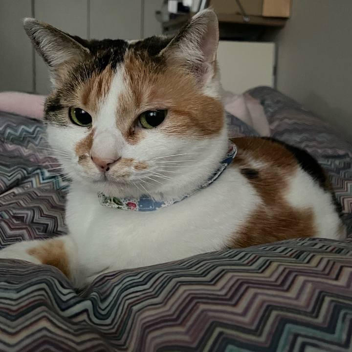 38e29069 19ae 4e5b bcf9 bd513fec2c3b 1708916681573