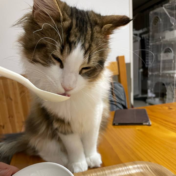 38e2c76a 305a 4892 92c4 869bc230ce99 1638526882268