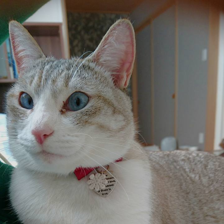 38e2d668 0f1e 4a08 9a10 ffe638b396a1 1555823502536