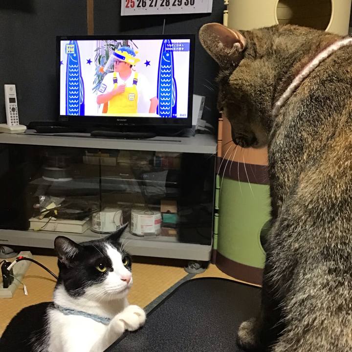 38e2d9d2 4a2f 4c5b 849f beacb569ba0c 1663933518258