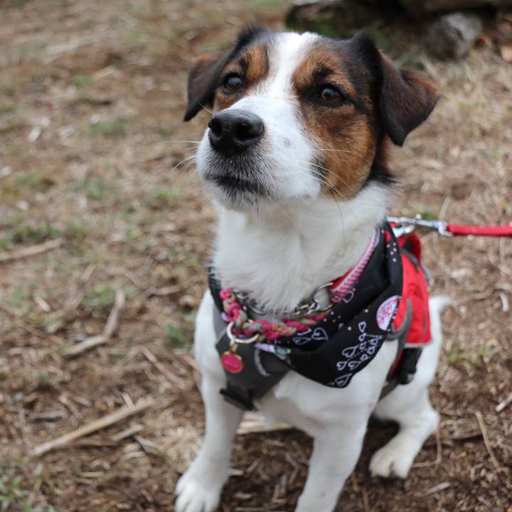 38e2e9ab 6fc5 42c1 a94f 0eb64d9fa76b 1521274399815