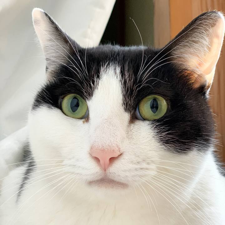 38e30d6d 9842 42f5 a95a d1bb21d712d8 1581380409620