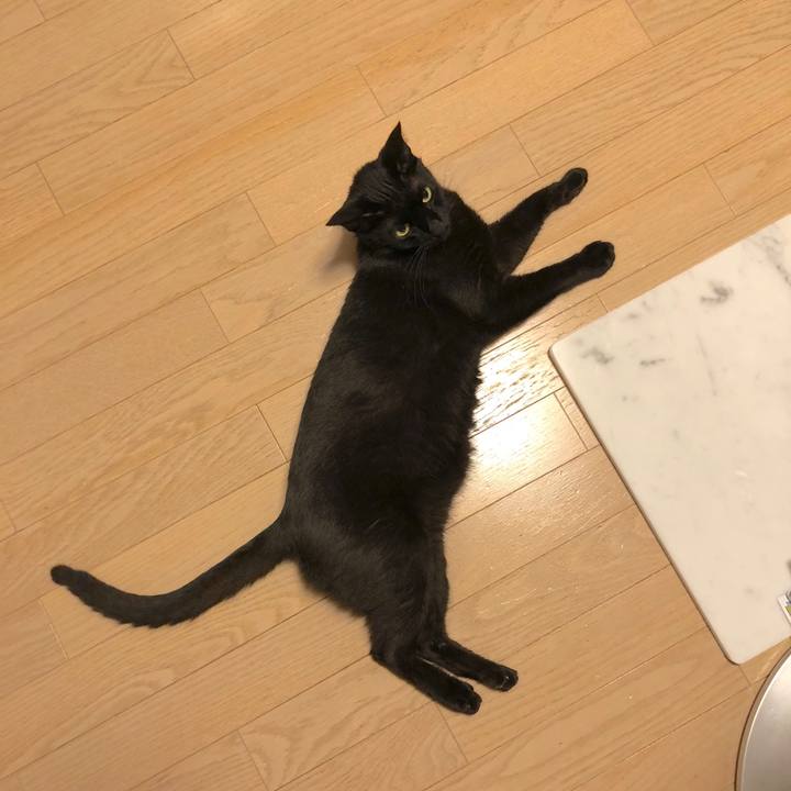 38e343b5 74a2 4e8d a086 eb45ccb78a78 1529926152615