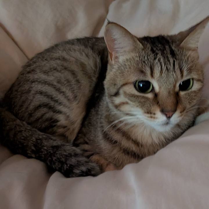 38e35d3a 7572 41f1 98b2 0e955aba1427 1770551132405