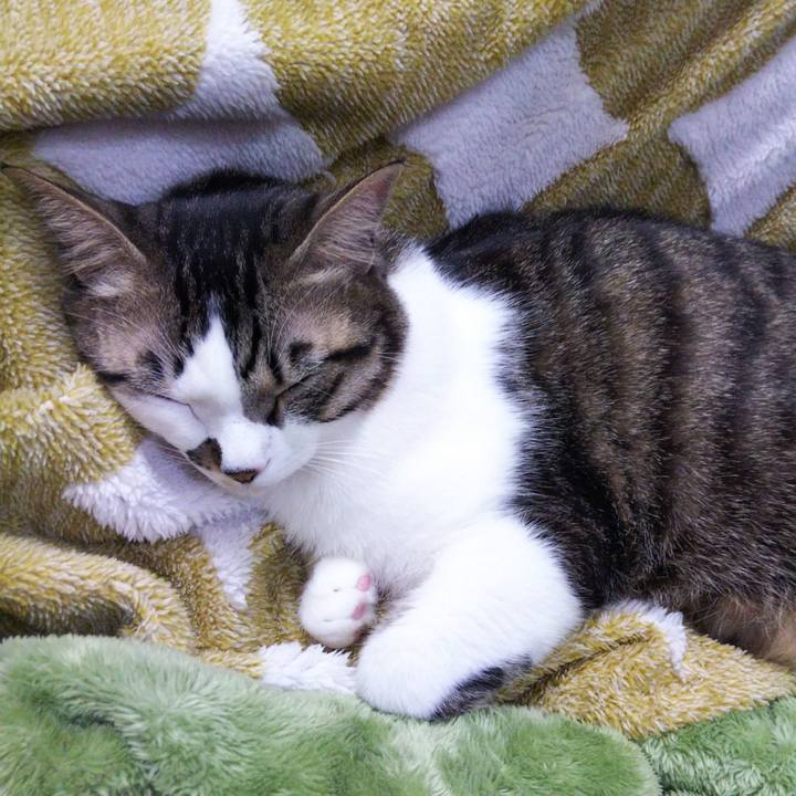 38e38a96 a81b 44ff 84b3 cefb25b49290 1643718233886