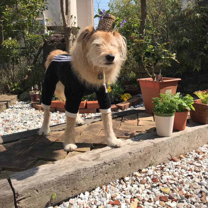 38e3be38 50ab 417a 8655 4522fef30605 1616899875771