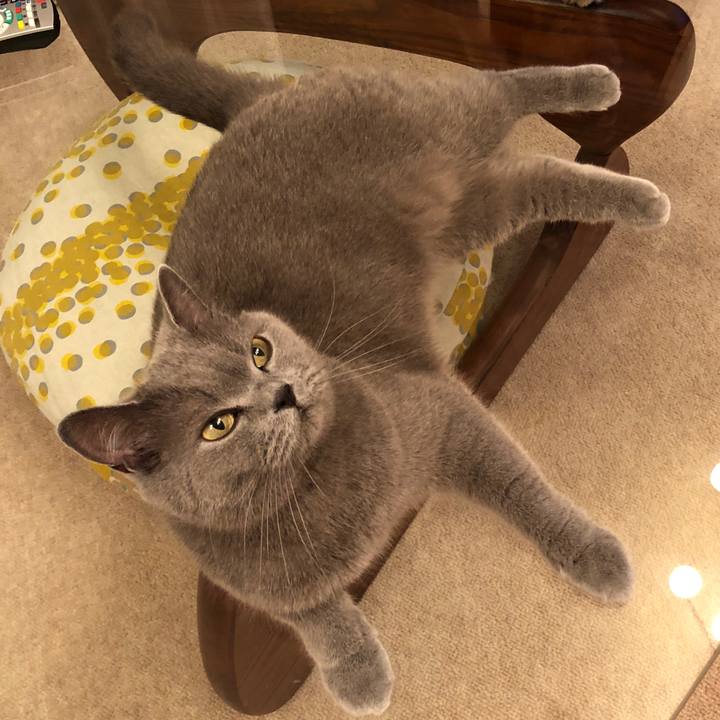 38e3e32b 6136 4e15 b1c6 0a89a7b9fa87 1528464013633