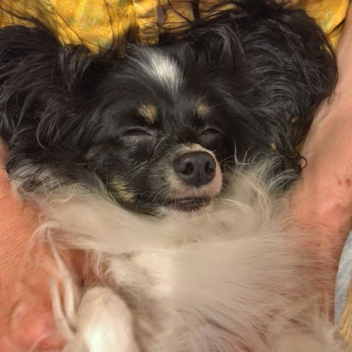 38e425a5 75ab 45cd b46e 1fb2094c8eaa 1530013901098