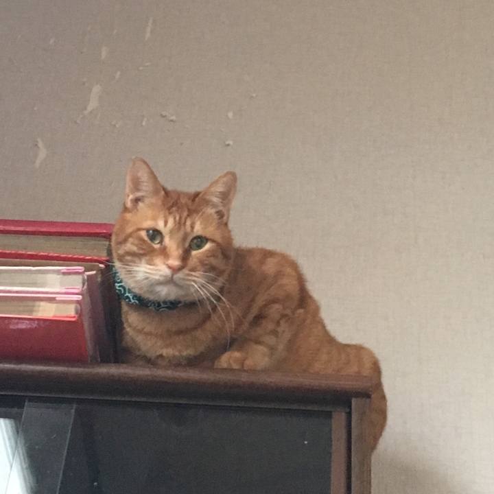 38e43640 c058 41c7 a3c2 568e76f41b10 1548542225415