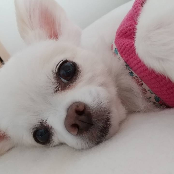 38e43bc1 9677 44f3 874b 016ce3e20762 1573381687428