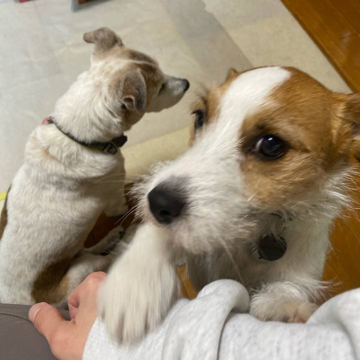 38e4608e 61a0 4696 bd0f 4099acc9395f 1705641081314