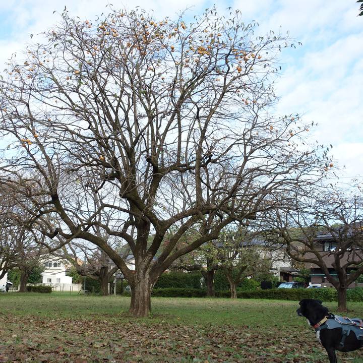 38e47738 d6b0 47ed afe5 9111f7ffe469 1729471439349