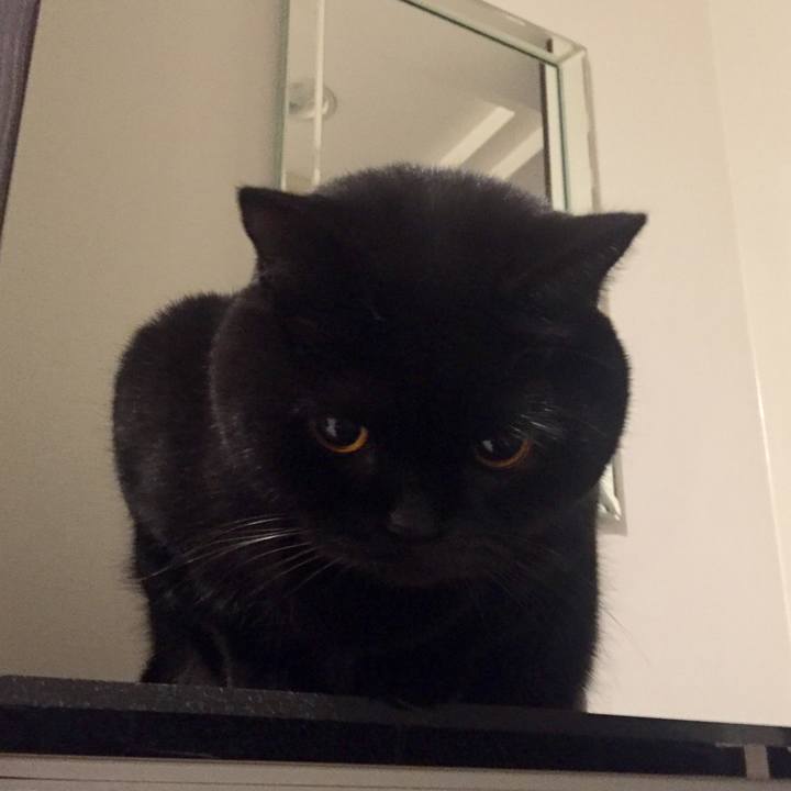 38e4af74 edee 4e16 9240 2c5fa6c2837b 1576232295556