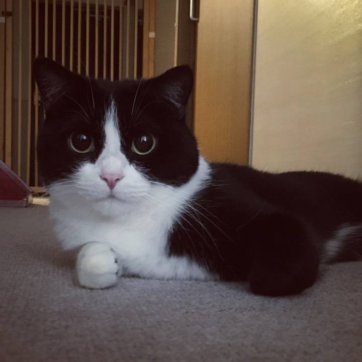 38e4da7b 9b0f 46da a10d 9db88e6936b4 1633437554104