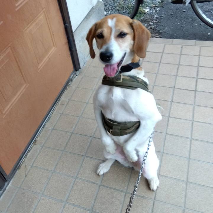 38e4eaee ad8a 4544 8d82 373cbd30a91d 1688017272121