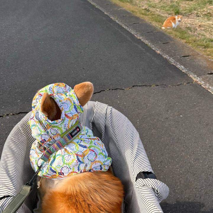 38e526e6 1e46 4502 857e f3bea8a209e3 1772759316339